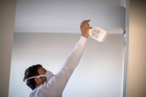 Best Certified Mold Removal  in Indian Hills, NV