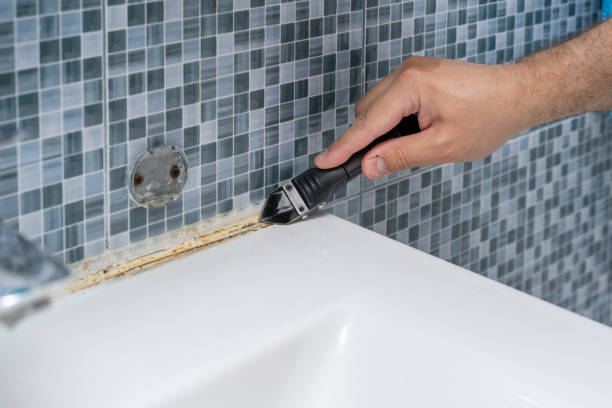 Best Toxic Mold Removal  in Indian Hills, NV